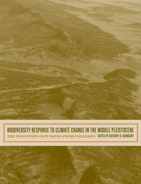 Biodiversity Response to Climate Change in the Middle Pleistocene - 