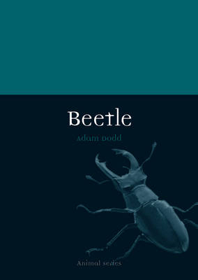 Beetle -  Dodd Adam Dodd