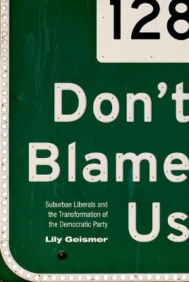 Don't Blame Us - Lily Geismer