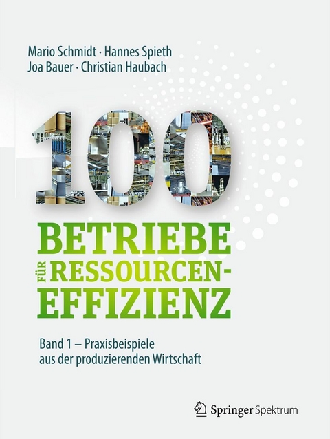 100 Betriebe für Ressourceneffizienz - Band 1 - Mario Schmidt, Hannes Spieth, Joa Bauer, Christian Haubach