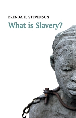 What is Slavery? - Brenda E. Stevenson