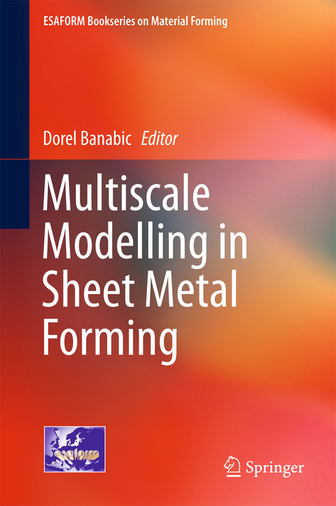 Multiscale Modelling in Sheet Metal Forming - 