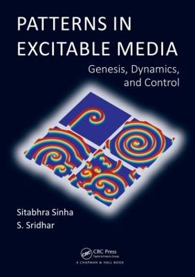 Patterns in Excitable Media - Sitabhra Sinha, S. Sridhar