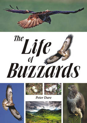 The Life of Buzzards - Peter Dare