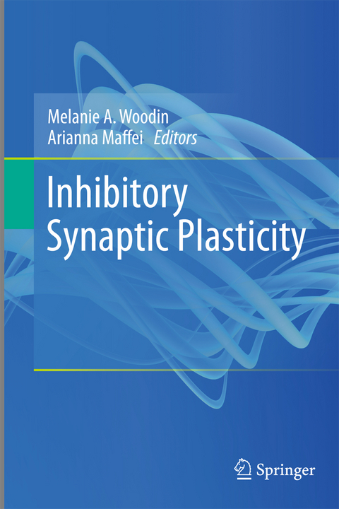 Inhibitory Synaptic Plasticity - 