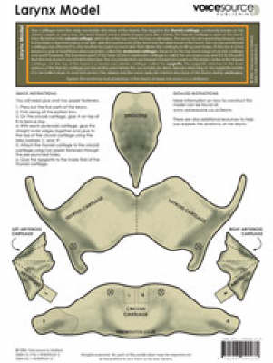 Larynx Model