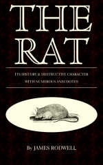 The Rat; Its History & Destructive Character - James Rodwell