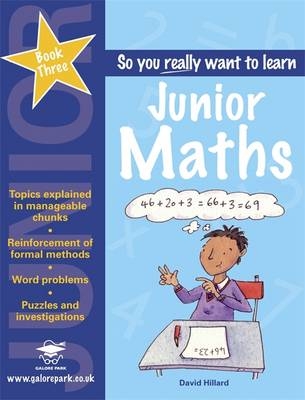 Junior Maths Book 3 - David Hillard