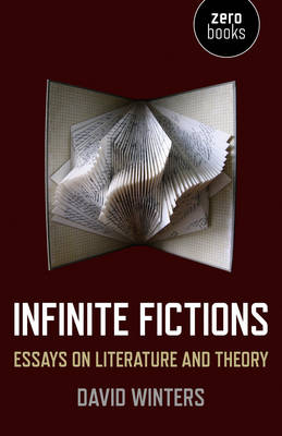 Infinite Fictions – Essays on Literature and Theory - David Winters