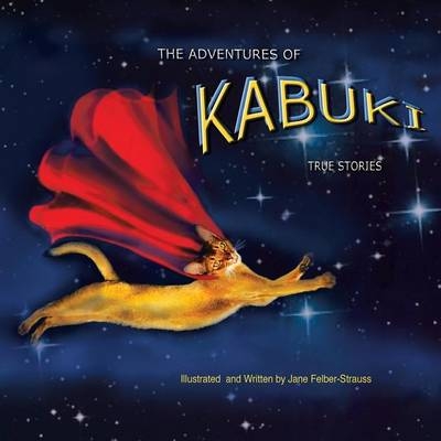 The Adventures of Kabuki - Jane Felber- Strauss