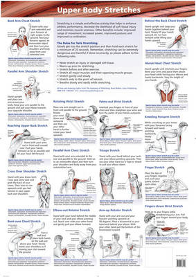 Upper Body Stretches Chart - B Walker