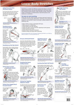 Lower Body Stretches Chart - B Walker