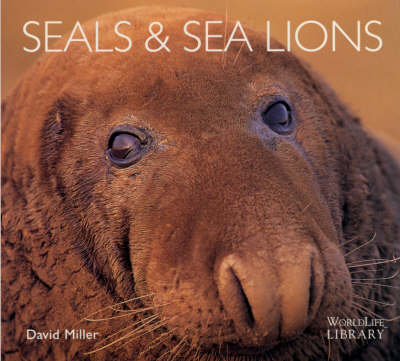 Seals and Sea Lions - David M. Miller