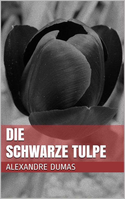 Die schwarze Tulpe - Alexandre Dumas