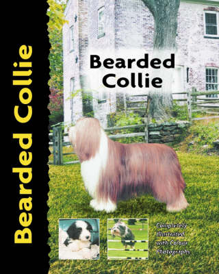 Bearded Collie - Bryony Harcourt-Brown