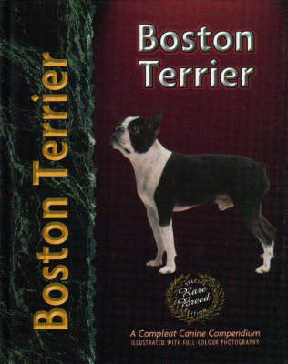 Boston Terrier - Alma Bettencourt