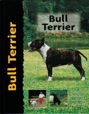 Bull Terrier - Bethany Gibson