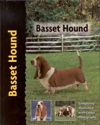 Basset Hound - Elizabeth Lanyon