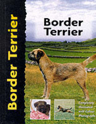 Border Terrier - Penelope Ruggles-Smythe