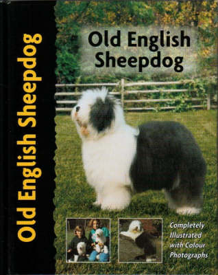 Old English Sheepdog - Ann Arch