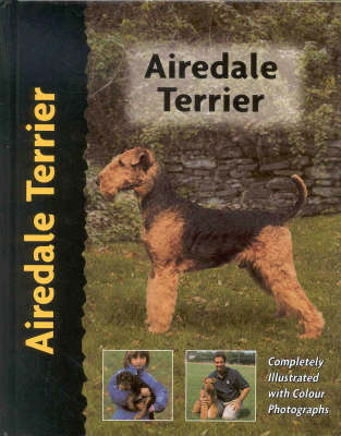 Airedale Terrier - Hugh Owen
