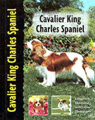 Cavalier King Charles Spaniel - Juliette Cunliffe