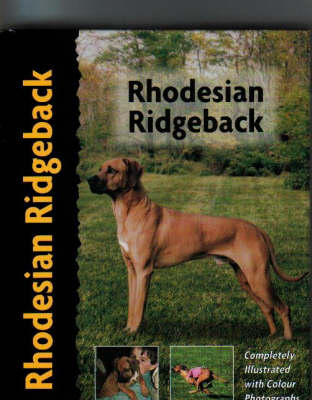 Rhodesian Ridgeback - Ann Chamberlain