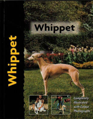 Pet Love Whippet - J Cunliffe