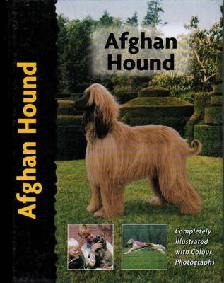 Pet Love Afghan Hound - B Harcourt-Brown