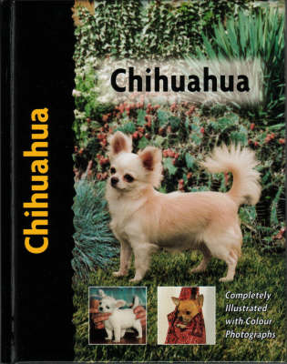 Chihuahua - B. Andrews