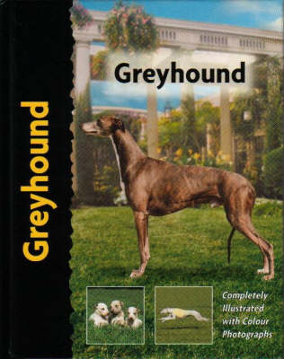 Greyhound - Juliette Cunliffe