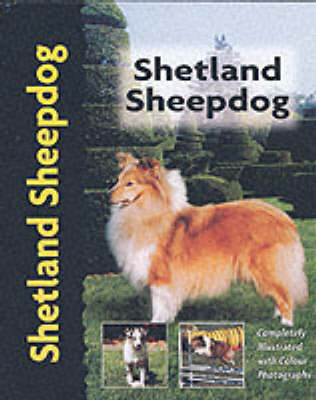 Shetland Sheepdog - Charlotte Schwartz