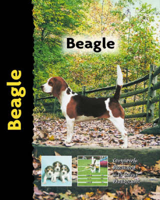Beagle - Elizabeth Lanyon
