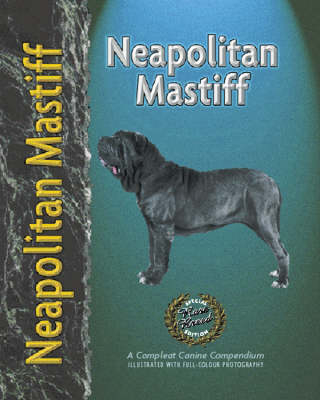 Neapolitan Mastiff - Carol Paulson