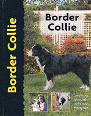 Pet Love Border Collie - S Sussam