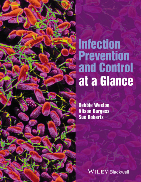 Infection Prevention and Control at a Glance -  Alison Burgess,  Sue Roberts,  Debbie Weston