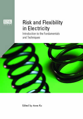 Risk and Flexibility in Electricity - 