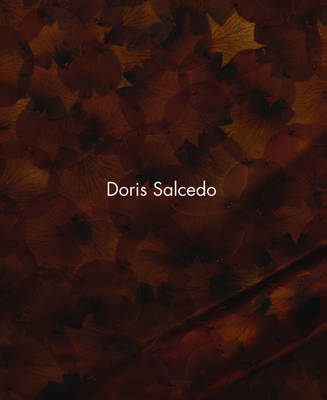 Doris Salcedo - 