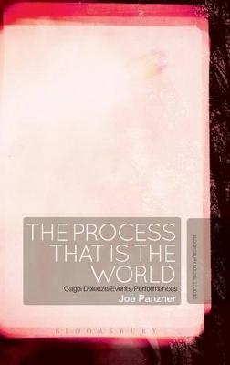 The Process That Is the World - Lecturer in Musicology Joe Panzner