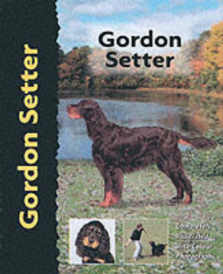 Gordon Setter - Lavonia Harper