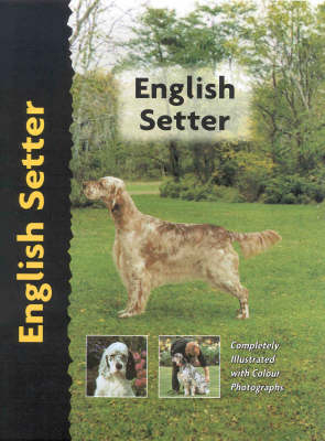 English Setter - Juliette Cunliffe