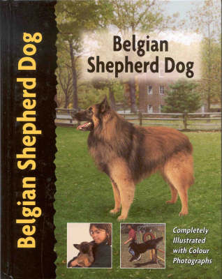Belgian Shepherd - Robert Pollet