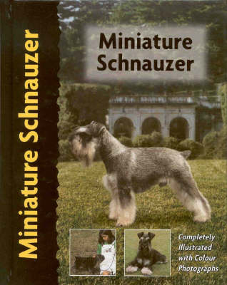 Miniature Schnauzer - Lee Sheehan