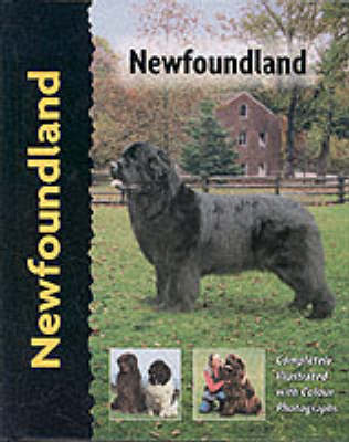 Pet Love Newfoundland - a Barlowe