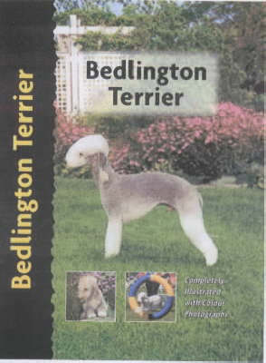 Bedlington Terrier - Muriel P. Lee