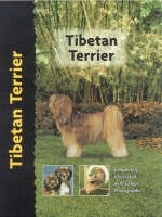 Tibetan Terrier - Juliette Cunliffe