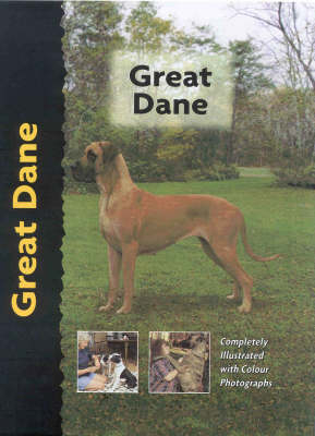 Pet Love Great Dane - H Everton