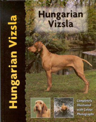Hungarian Vizsla - Robert White