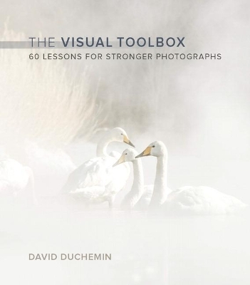 Visual Toolbox, The - David DuChemin