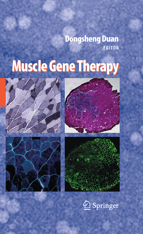 Muscle Gene Therapy - 